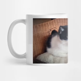 Cat Kitti on the armchair Mug